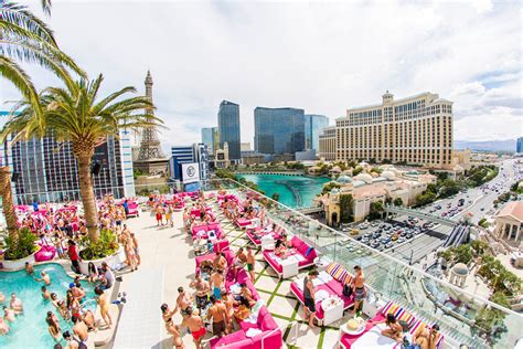 drais beach party|drai's beach club.